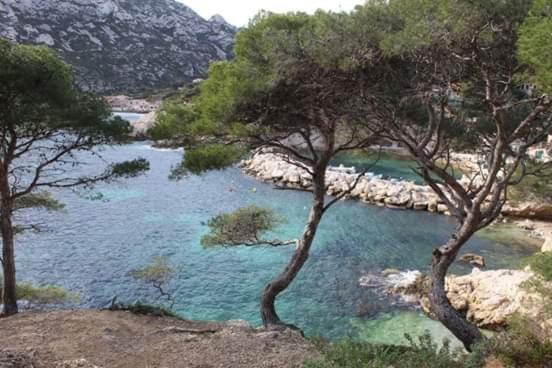 Mon Petit Paradis, Cassis Centre Apt 90 M2, 200 M Mer, Terr Plein Sud, Clim Park Prive Exteriör bild