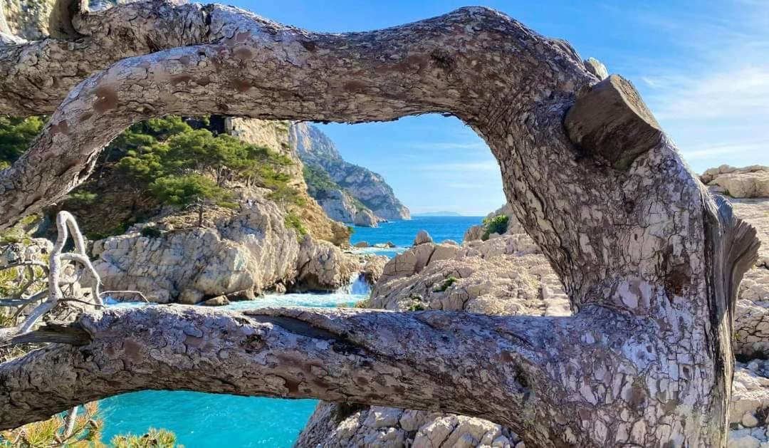 Mon Petit Paradis, Cassis Centre Apt 90 M2, 200 M Mer, Terr Plein Sud, Clim Park Prive Exteriör bild